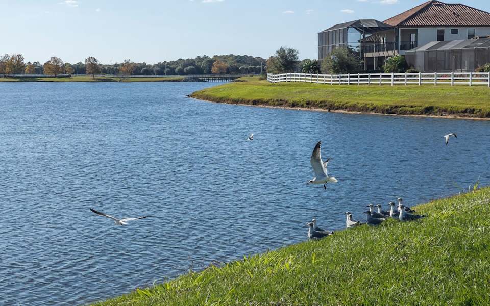 Lakewood Ranch | Neighborhood Guide