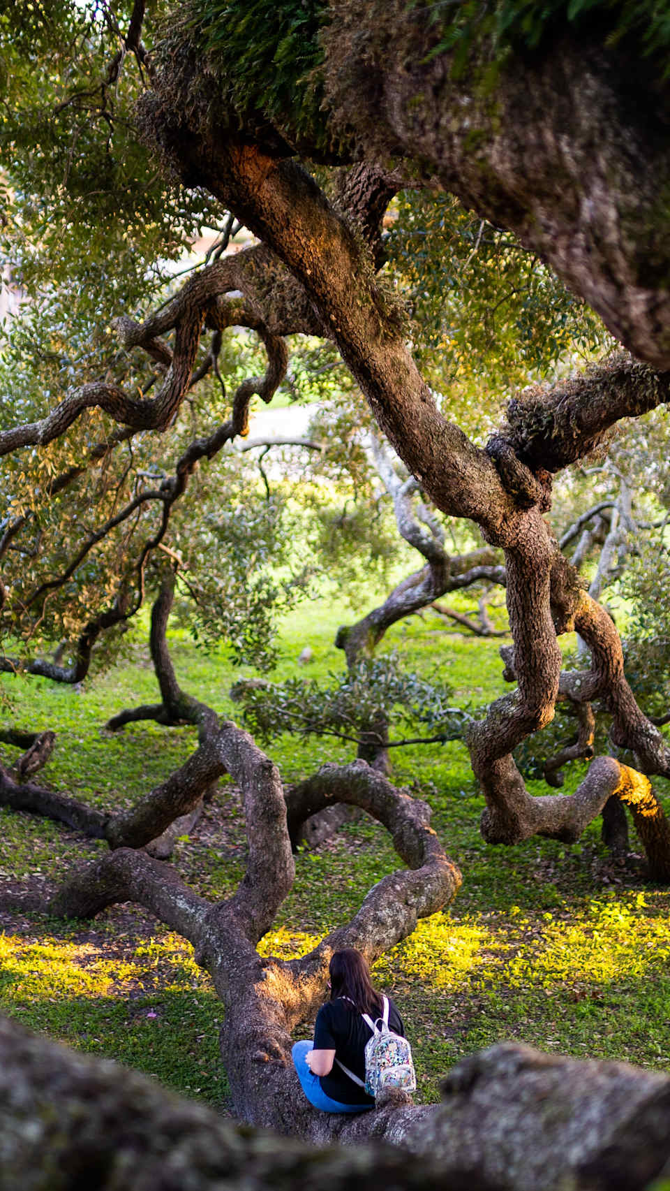 Neighborhood Ortega Belle Epoque Realty