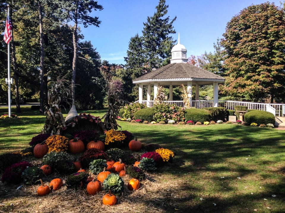 Neighborhood Evergreen Meadows