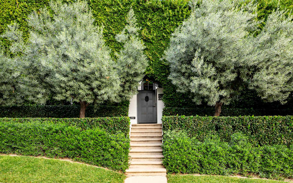 in-the-famous-bird-streets-of-los-angeles-an-architectural-gem-hits