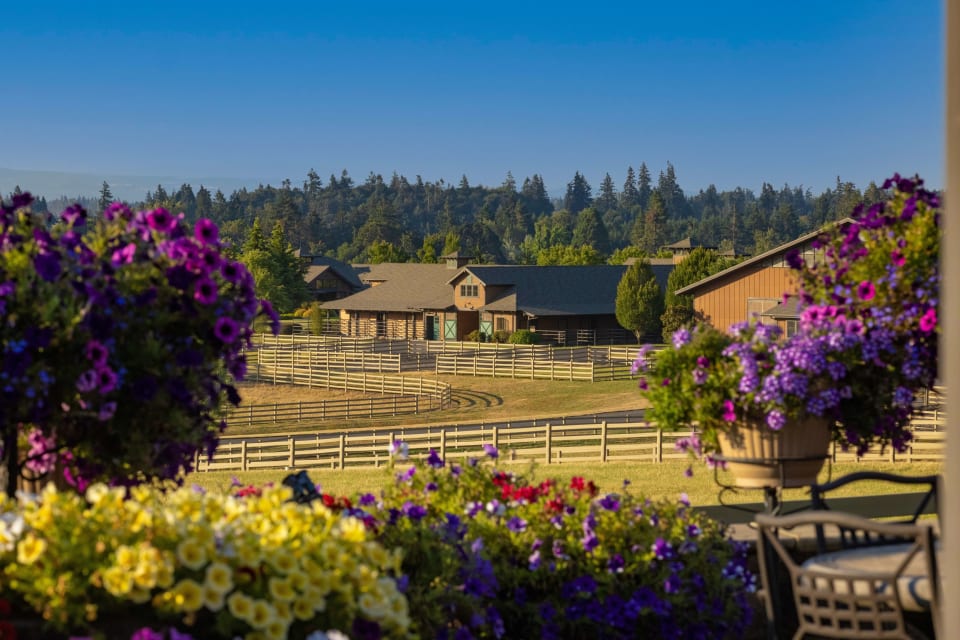 Inside a Stunning 200Acre Oregon Horse Farm That Just Listed for 19.5