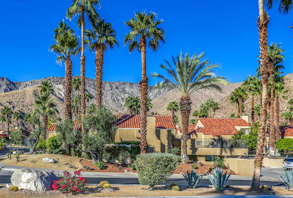 Neighborhood Canyon Heights
