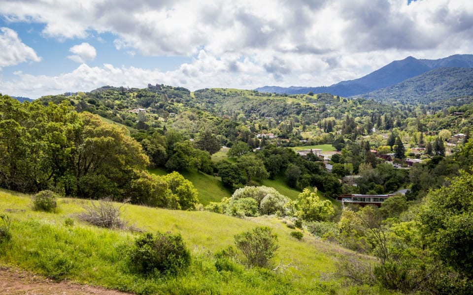 San Anselmo Real Estate Neighborhood Guide Kyle Frazier