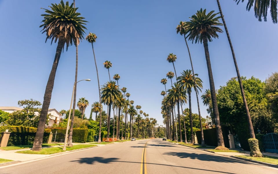 Los Angeles | Neighborhood Guide