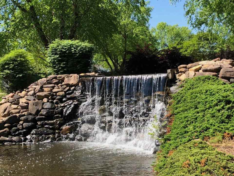 MacAulay | Neighborhood Guide