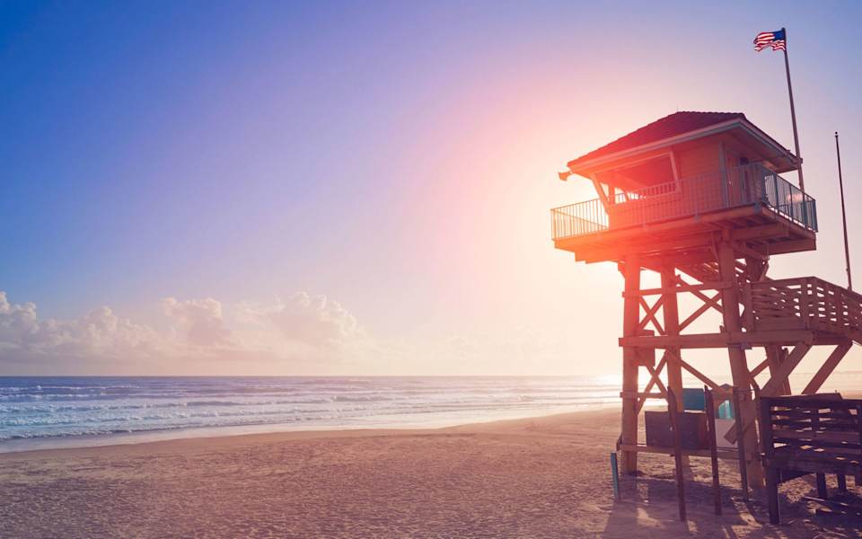 Wilbur by The Sea The High Tide Group