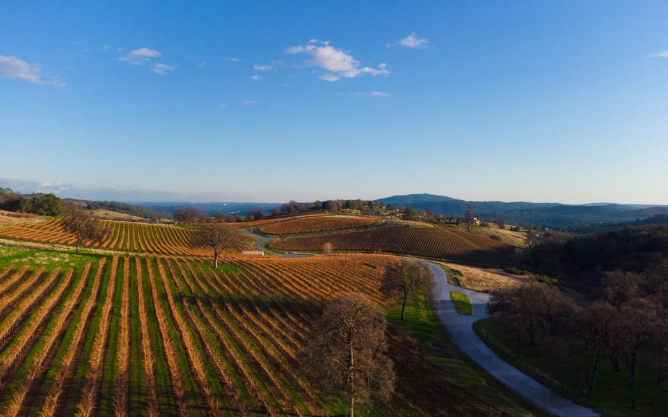 Safari Estates at Pilot Hill Denise Dascallos