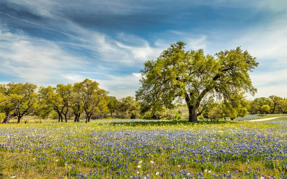 Guadalupe County Guide Land and Homes For Sale Gaines Slade