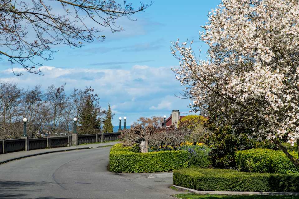 Queen Anne, WA Neighborhood Guide TeamUp Seattle