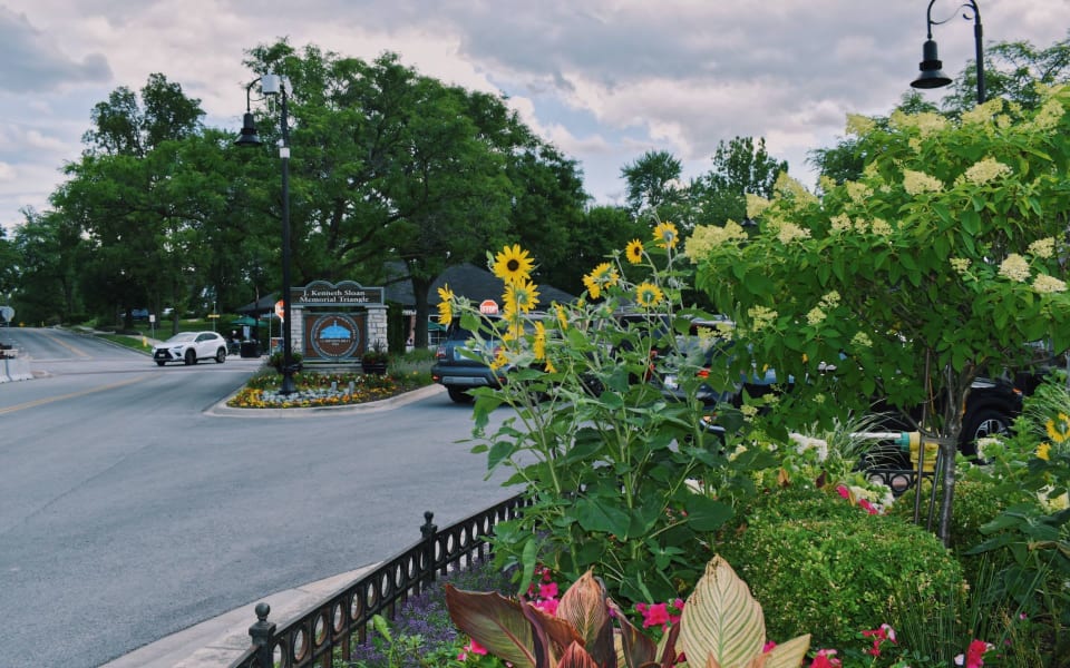 Clarendon Hills Neighborhood Guide The Brennan Group