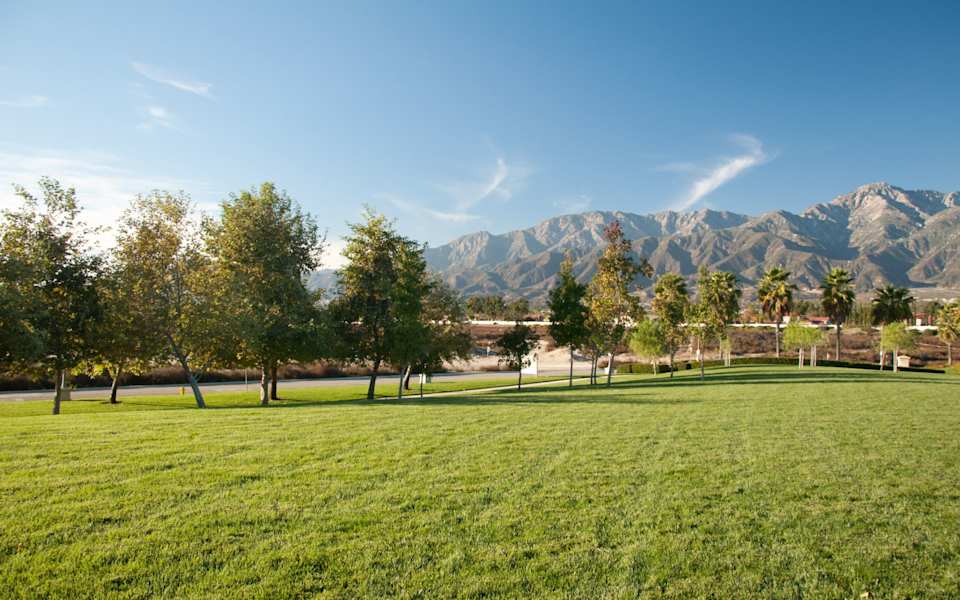 Discover Clancy Lane Estate Homes for Sale