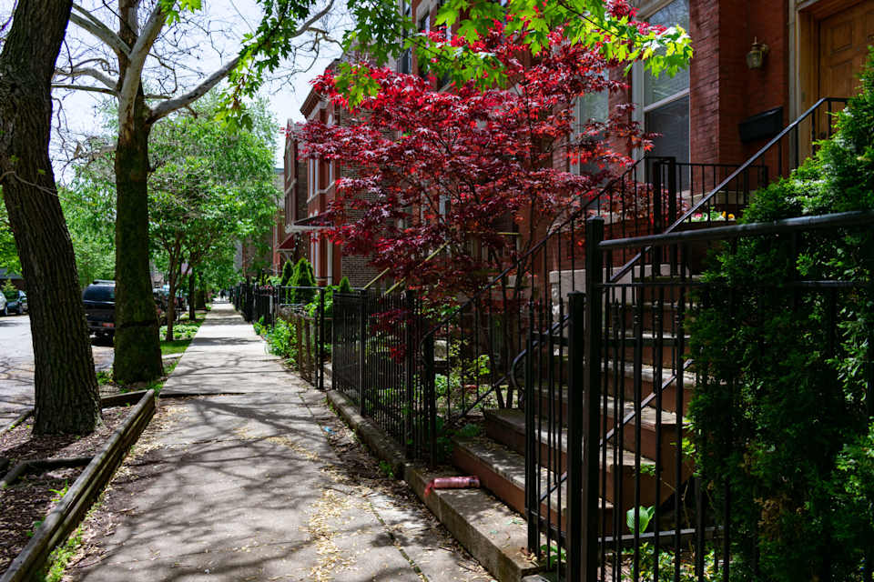 East Village Real Estate Neighborhood Guide Carol Collins