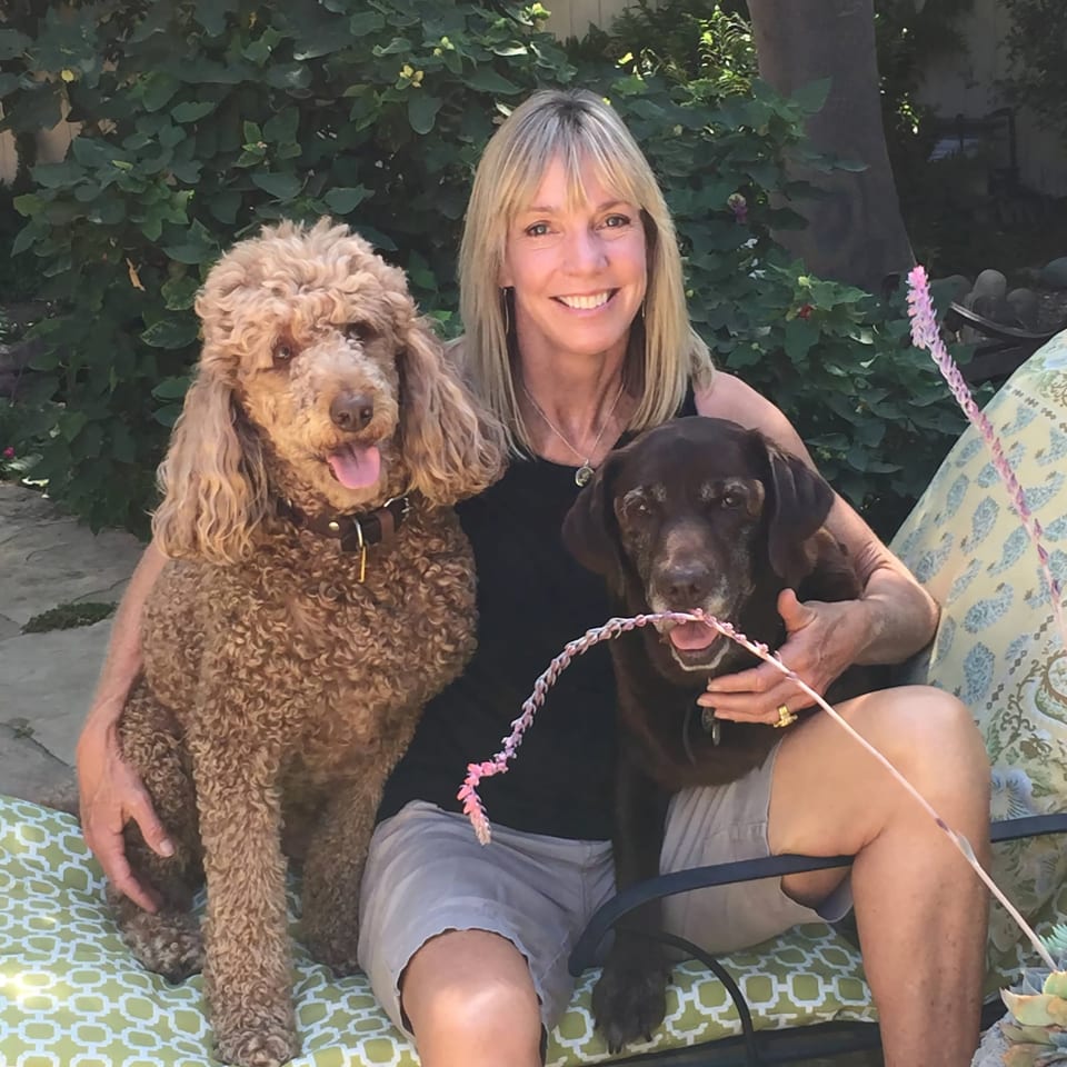 About Lisa Allen The Village Properties The Village Properties