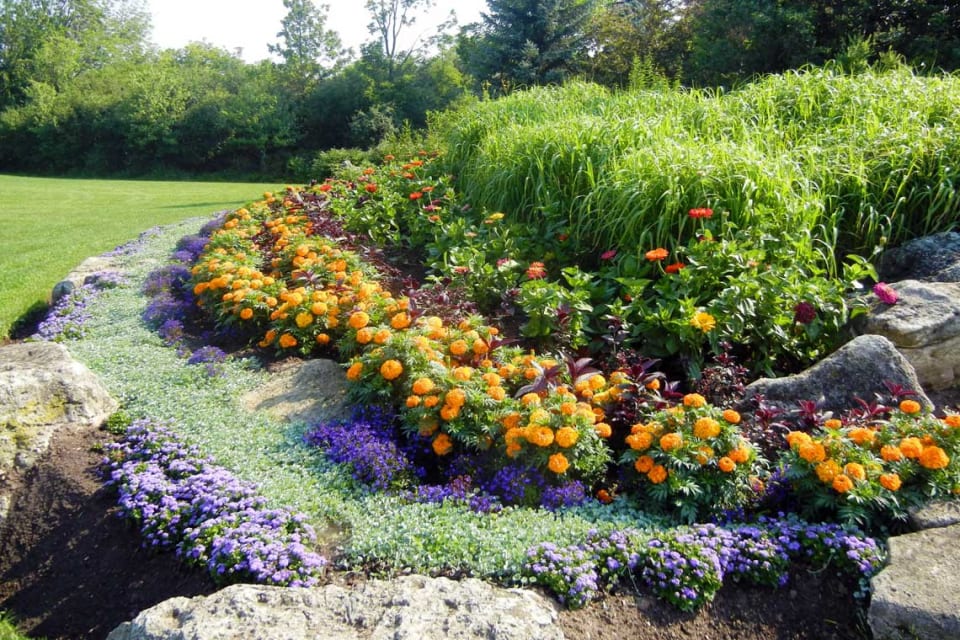 Clearview Oakville Neighbourhood Guide Kate Vanderburgh Realty