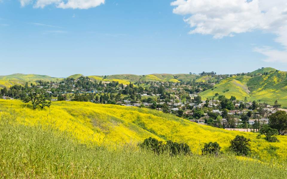 Calabasas Neighborhood Guide