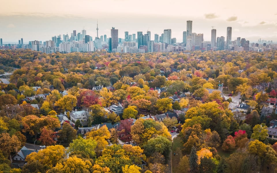 Homes for Sale Lytton Park Kevin Crigger Real Estate Team