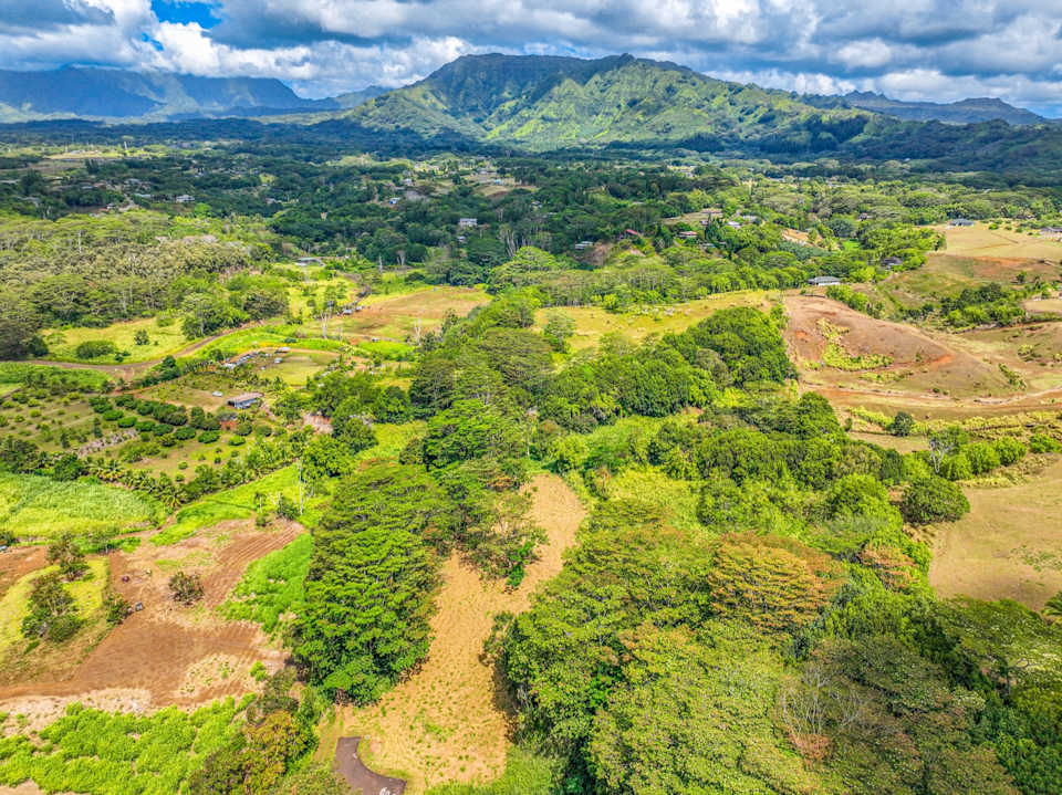 Understanding CPR Basics Navigating Hawaii Real Estate Halladay