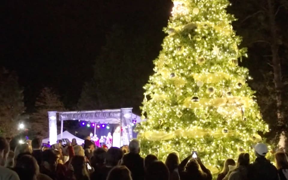 The Village of Pinehurst Christmas Tree Lighting 2018 Blog BHGRE