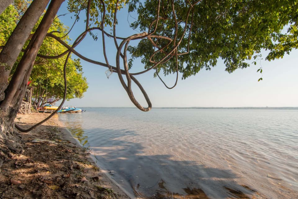 Cape Haze and Placida Neighborhood Guides Olivia Jones