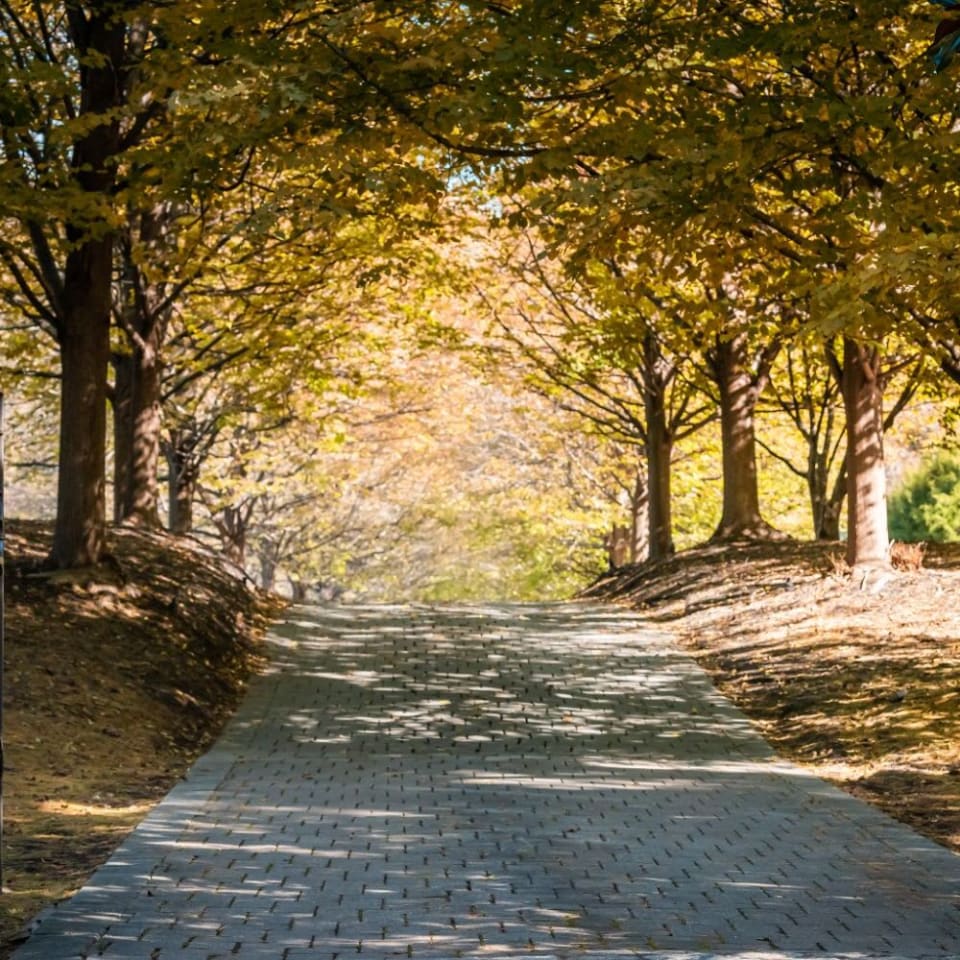 Pelham & Pelham Manor Community Guide