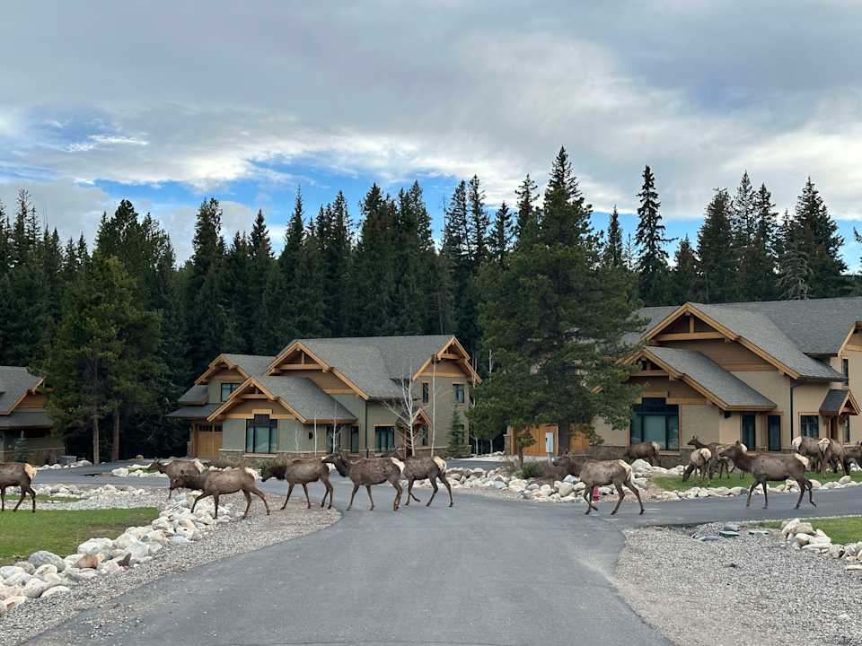 Mia Lennon's Cheatsheet for Buying & Selling Your Home with Less Stress