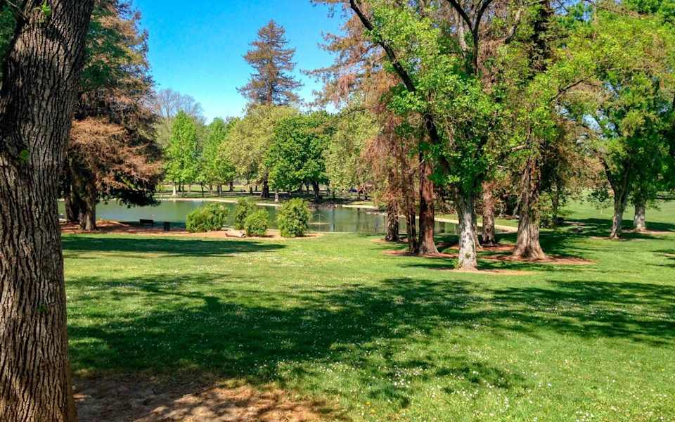 Land Park Kinship Real Estate