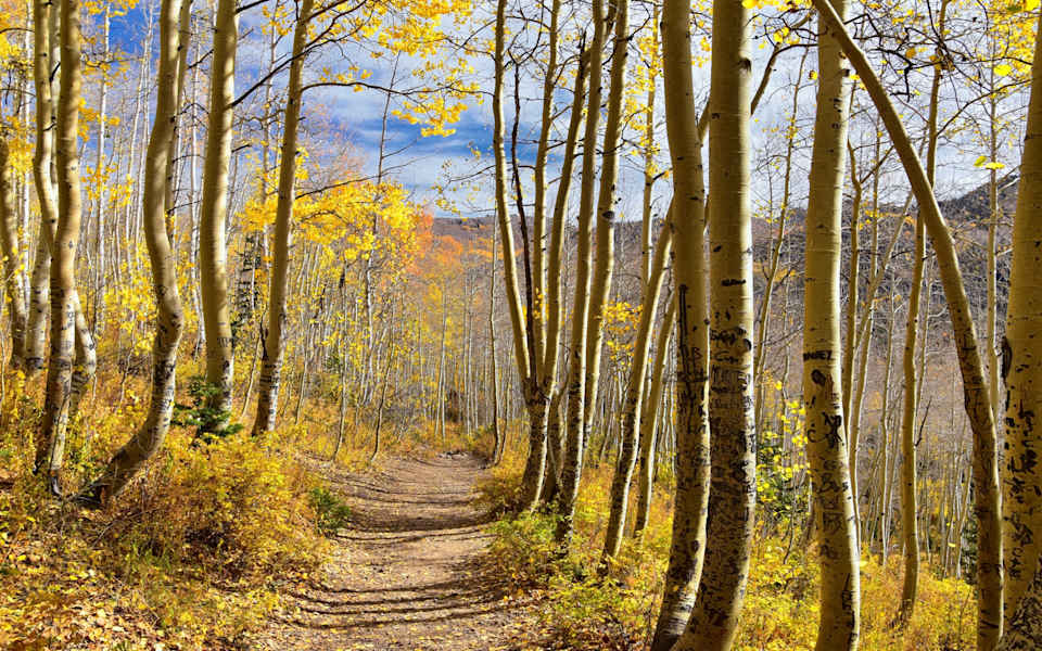 Powder Mountain Neighborhood Guide