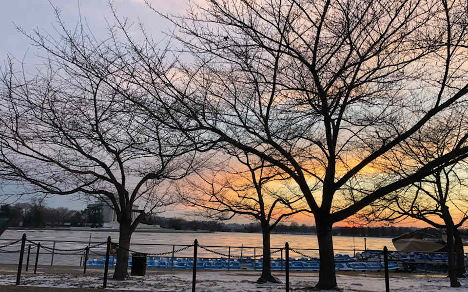 AU Park Real Estate Washington DC Abrams Residential