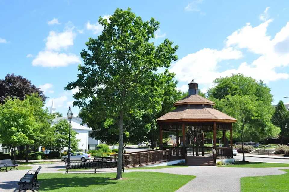 Stoneham Neighborhood Guide