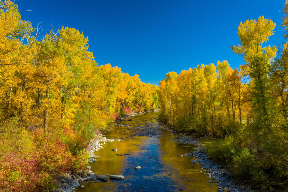 Almont, CO Neighborhood Guide LIV SIR Crested Butte Colorado Real