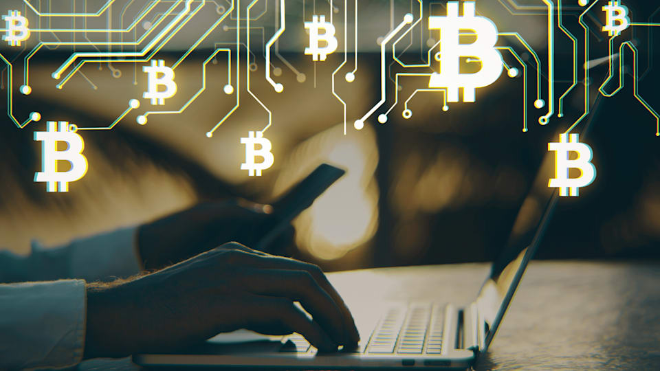 Bitcoin Jungle Cryptocurrency Costa Rica Daveed Hollander