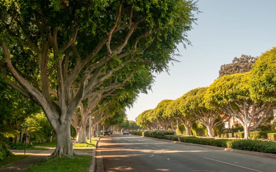 Beverly Hills | Neighborhood Guide