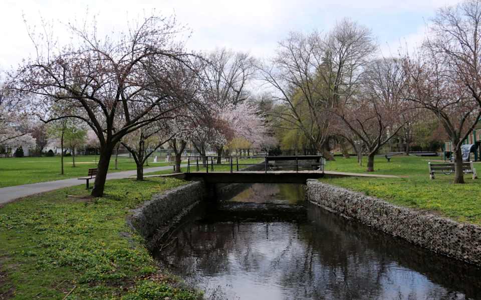 Essex Fells Community Guide