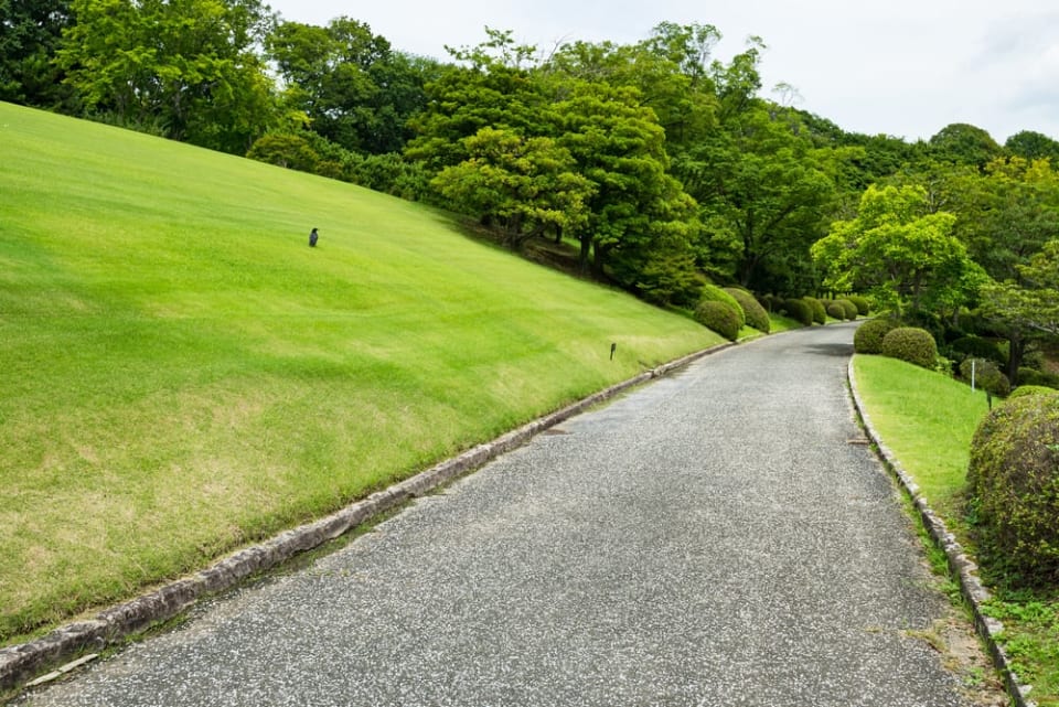 Danville Neighborhood Guide