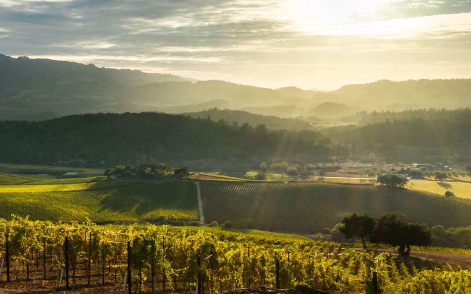 Calistoga Real Estate Luxury Homes and Houses for Sale