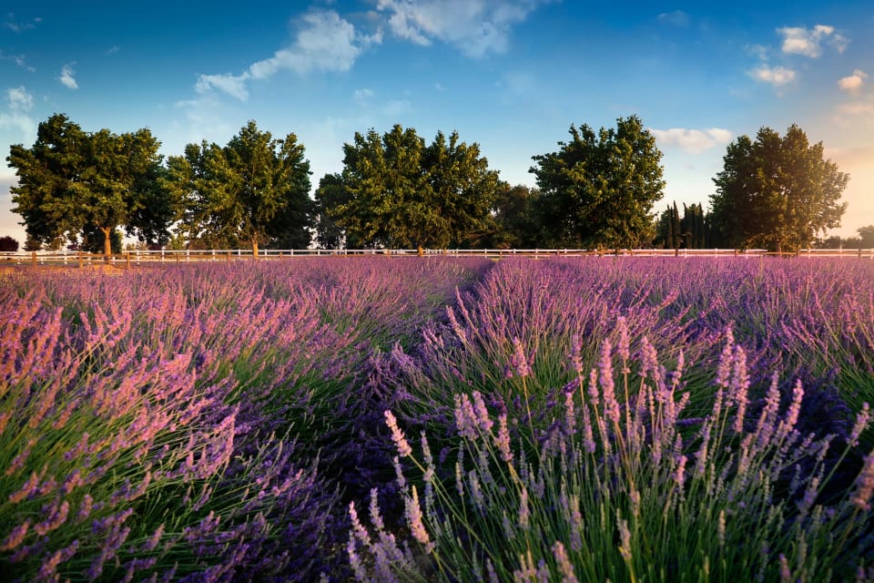 Blog Templeton Red Bluff Real Estate Agent