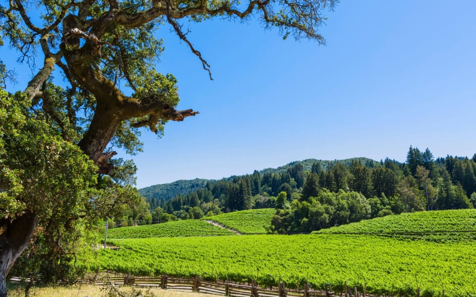 Glen Ellen Real Estate Homes for Sale in Glen Ellen, CA Napa Valley