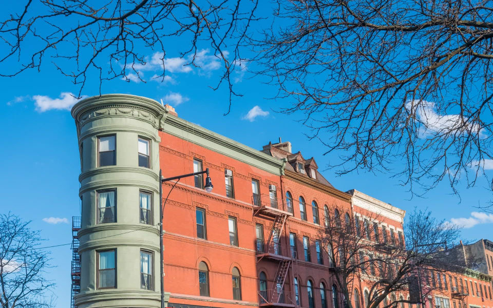 Prospect Lefferts Gardens Neighborhood Guide Christiam Pena