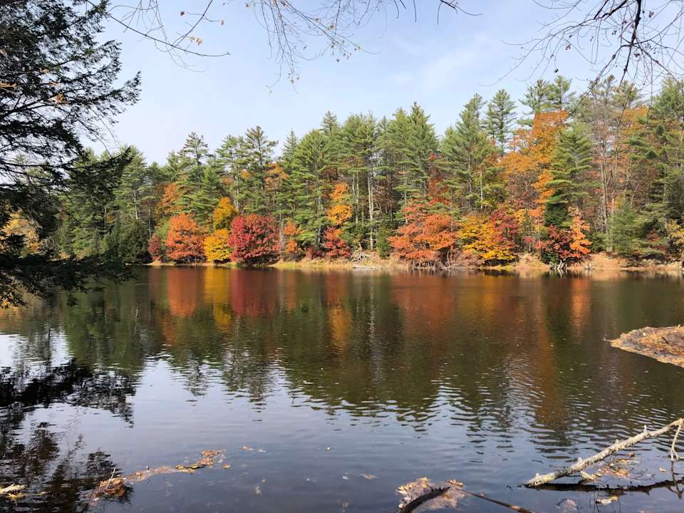 Community Highlight Limington Maine Tomazin Goff Realty