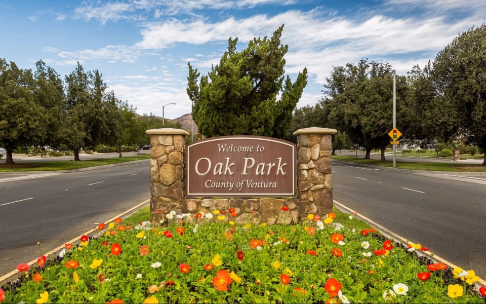 Oak Park Homes for Sale Community Guide Dana & Jeff Luxury Homes