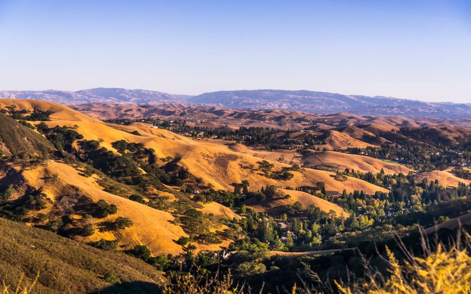 Historical San Joaquin Hills Real Estate Eric Crisp South Orange