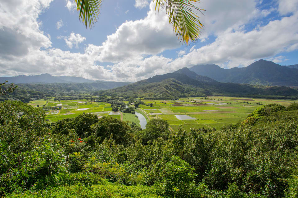 Hanalei National Wildlife Refuge Viewpoint Under Construction Blog