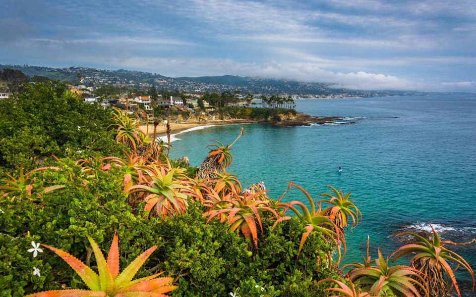 Laguna Beach Skyline Commercial Real Estate