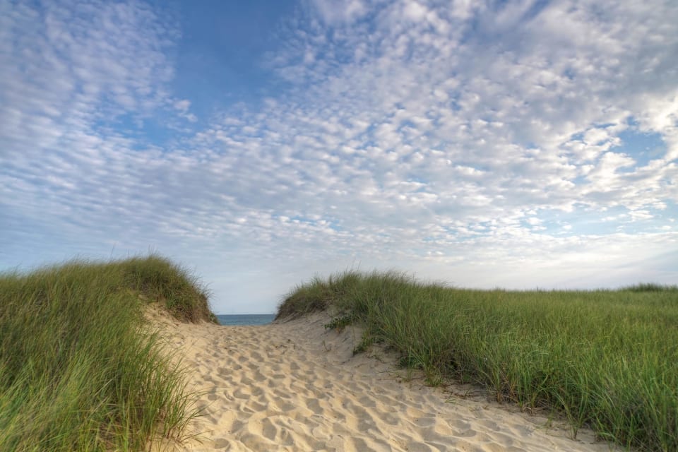 West Tisbury Real Estate Homes for Sale in West Tisbury