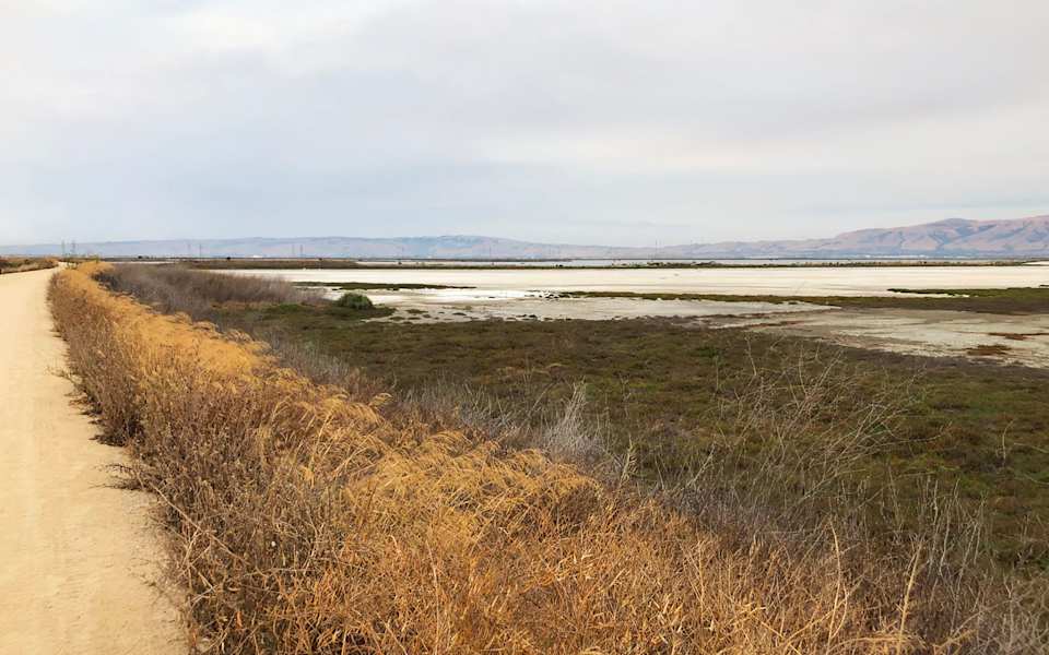 Top Outdoor Activities in Los Altos Blog Campi Group