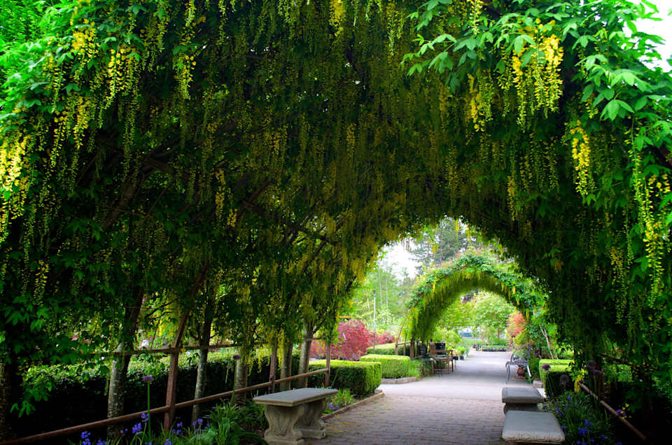 Delightful Bayview Corner in Langley on Whidbey Island Blog