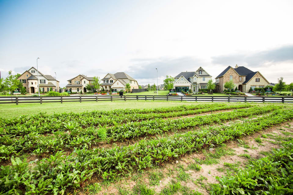 Harvest Green Community Guide Bartee Real Estate Group