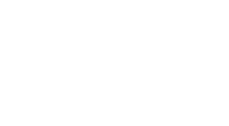 Meet the Team Colleen Lawler Chesterfield Real Estate Agent