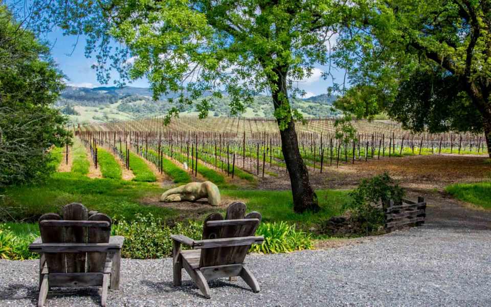 Anderson Valley Neighborhood Guide