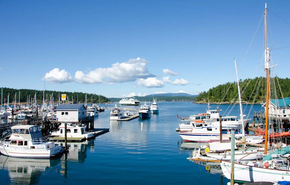 Neighborhood || Friday Harbor